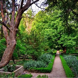 Szelestei Arborétum - Szeleste