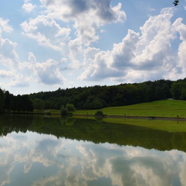 Zselici Csillagpark