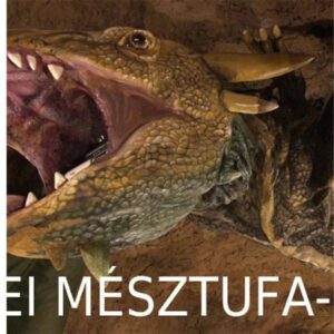 Tettyei-mésztufabarlang