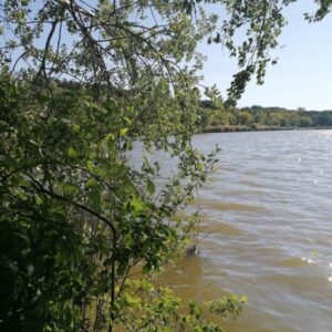 Naplás-tó tanösvény – Budapest