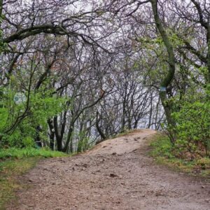 Ördög-orom tanösvény – Budapest