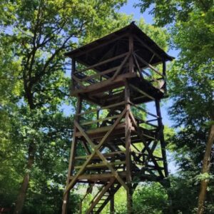 Molnárka tanösvény – Gemenc