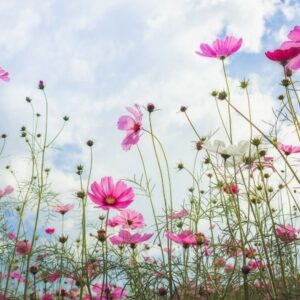 Barátok útja tanösvény – Diósgyőr