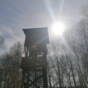 Merzse-mocsár tanösvény – Budapest