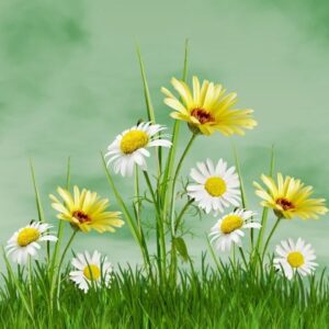 Meseút Noszvaj – Noszvaj