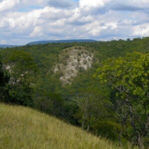 Budai Tájvédelmi Körzet