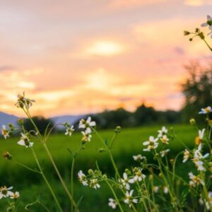 Csiga-túra tanösvény – Zalakaros