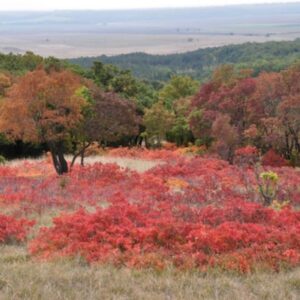 Vértesi Tájvédelmi Körzet
