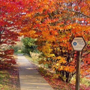 Budai Arborétum – Budapest