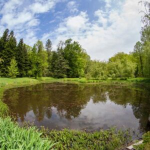 Budafai Arborétum - Kiscsehi
