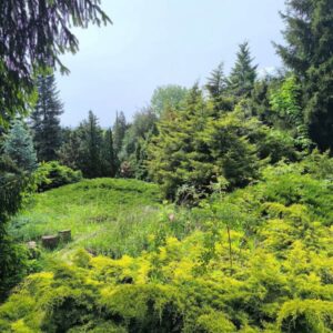 Avasi Arborétum - Miskolc