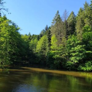 Agostyáni Arborétum - Gerecse