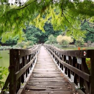 Desedai Kalanderdő, Arborétum - Deseda