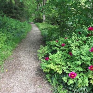 Pannonhalmi Arborétum és Gyógynövénykert - Pannonhalma