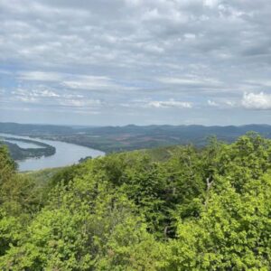 Nagymarosi Gesztenyés tanösvény – Nagymaros