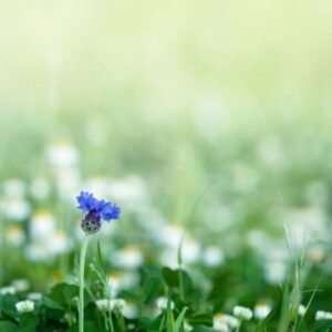 Interaktív tanösvény – Salföldi Major