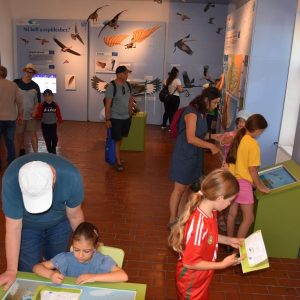 Kardoskúti Madárvonulás Múzeuma