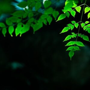 Interaktív tanösvény – Salgótarján