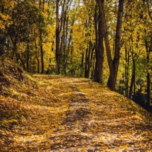 Regéci-tanösvény – Regéc