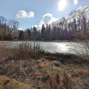 Zirci Ciszterci Arborétum – Zirc