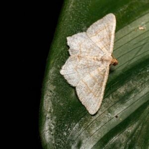 Herman Ottó családi sétaút – Zalaszabar