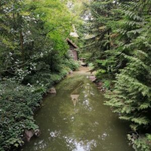 Vácrátóti Botanikus Kert – Vácrátót