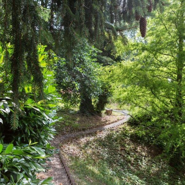 Püspökszentlászlói Arborétum – Püspökszentlászló, Mecsek
