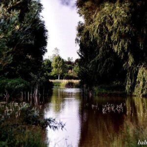 Bábolnai Arborétum - Bábolna