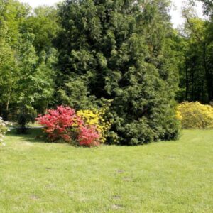 Csácsi Arborétum - Zalaegerszeg, Csácsbozsok