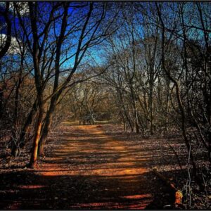 Érzékek ösvénye – Budapest