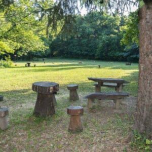 Gödöllői Erdészeti Arborétum – Gödöllő, Isaszeg felé