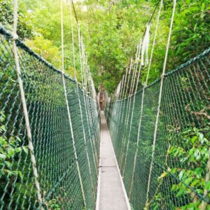 Nagykörüi lombkorona sétány (Békés megye)