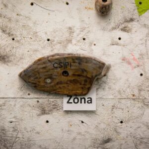 Csipi Boulder (Debrecen)