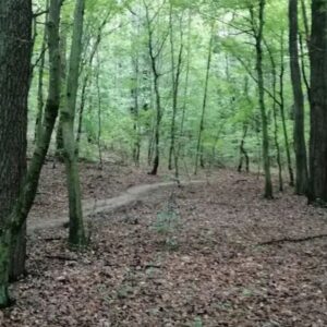 Madárerdő tanösvény – Nagykanizsa