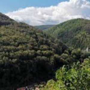 Lillafüred tanösvény – Lillafüred