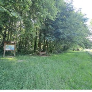 Vadvirág tanösvény – Lenti