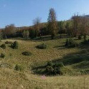 Kis-Kőhát – Nagy-mező Tanösvény