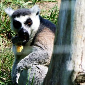 Jászberényi Állat-és Növénykert