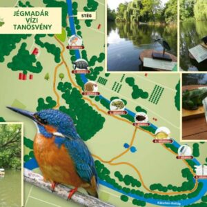 Jégmadár vízi tanösvény