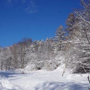 Holdviola tanösvény – Bükkszentkereszt
