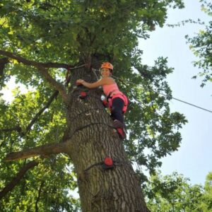 Sárvári Kalandpark