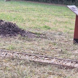 Richter Anna – mezítlábas ösvény