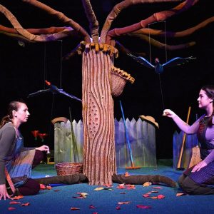 Ciróka Bábszínház (BÁCS-KISKUN)