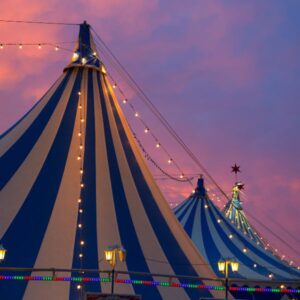 Fővárosi Nagycirkusz