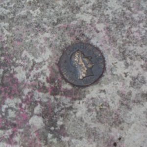 Mátyás király érme