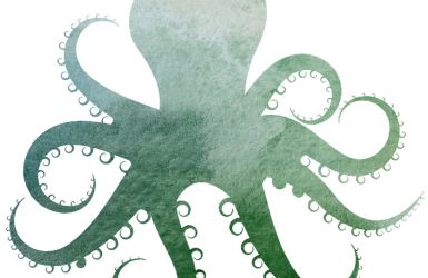 Húsvétig bezár a polip